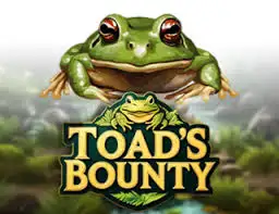 tra hđ hd